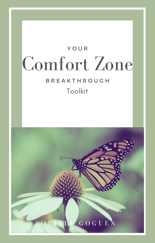 Comfort Zone Breakthrough Toolkit