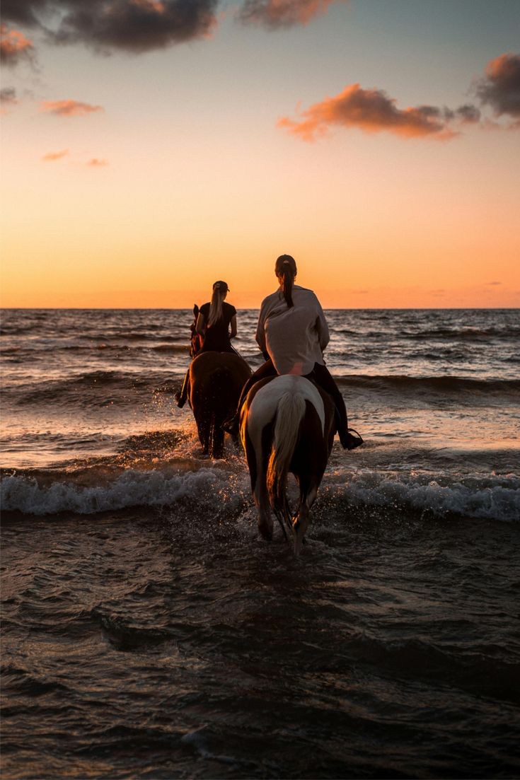 Spirit of Djerba & the Sahara