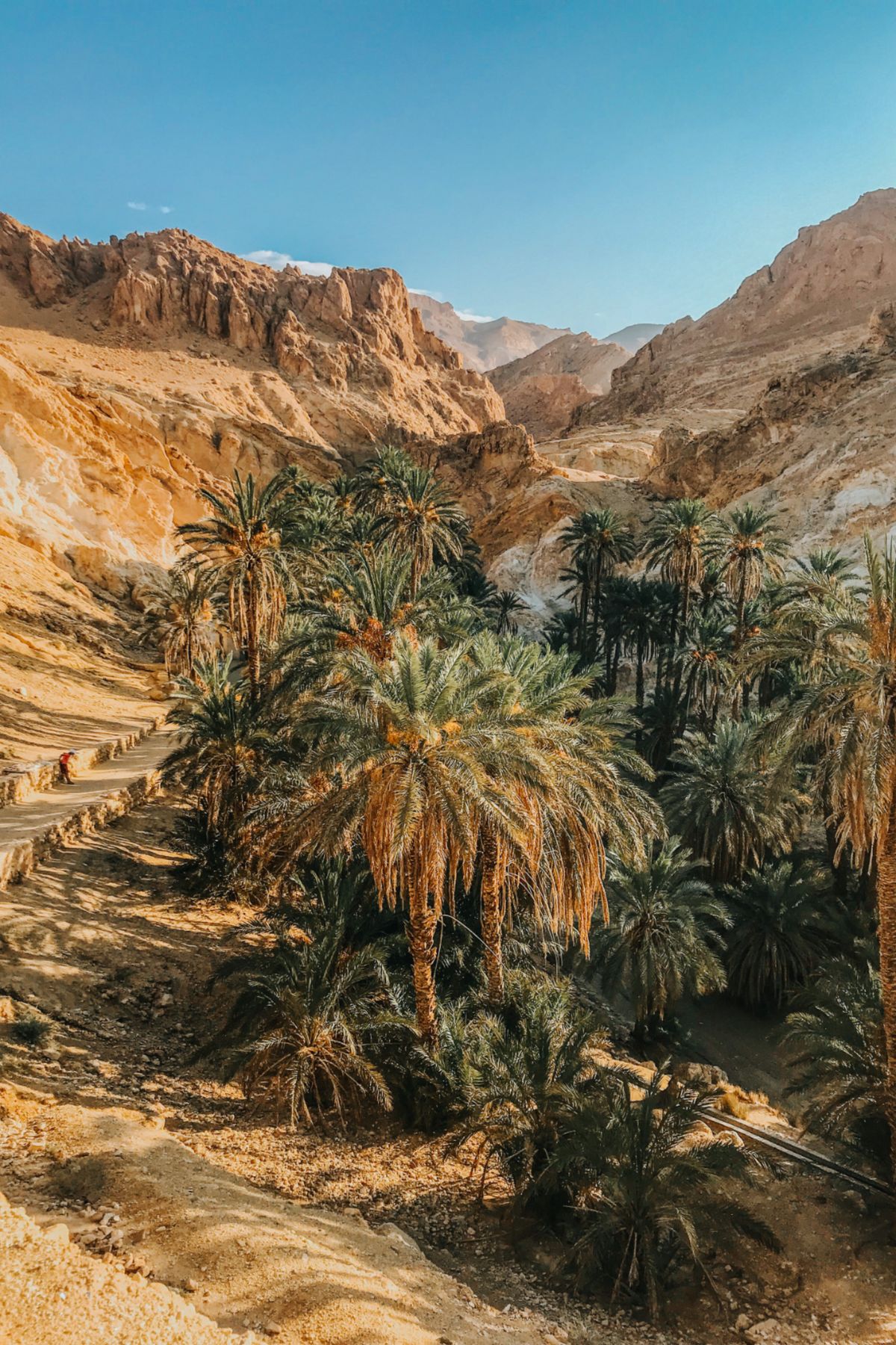 The 7 Day Journey in Djerba & Beyond🌊