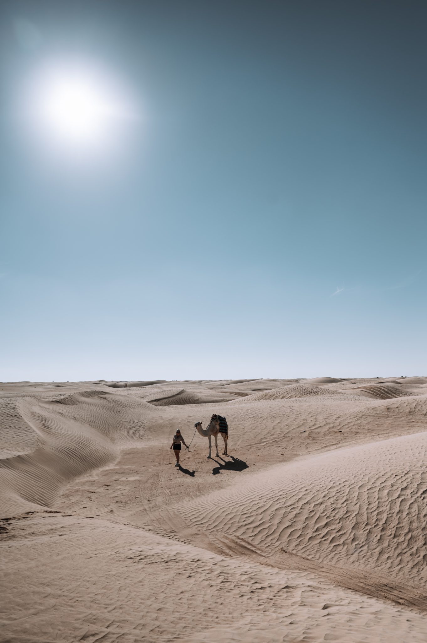Spirit of Djerba & the Sahara