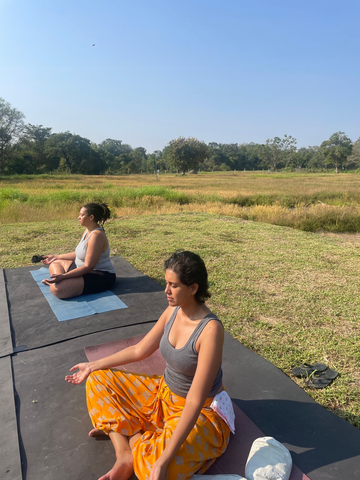 Yoga Retreat - Softening into Stillness