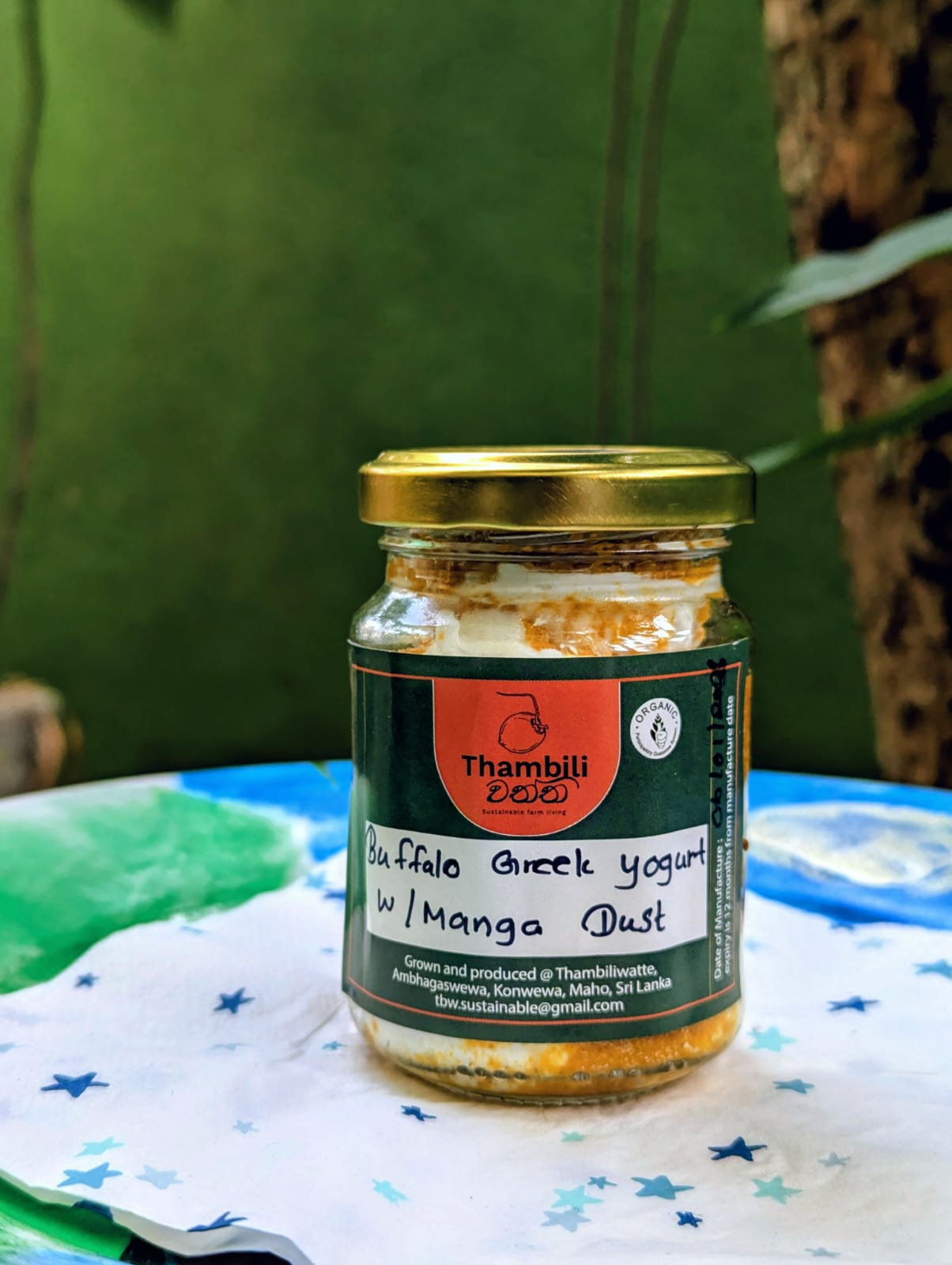 Buffalo Greek Yogurt Dusted with Mango Powder 150 ml 