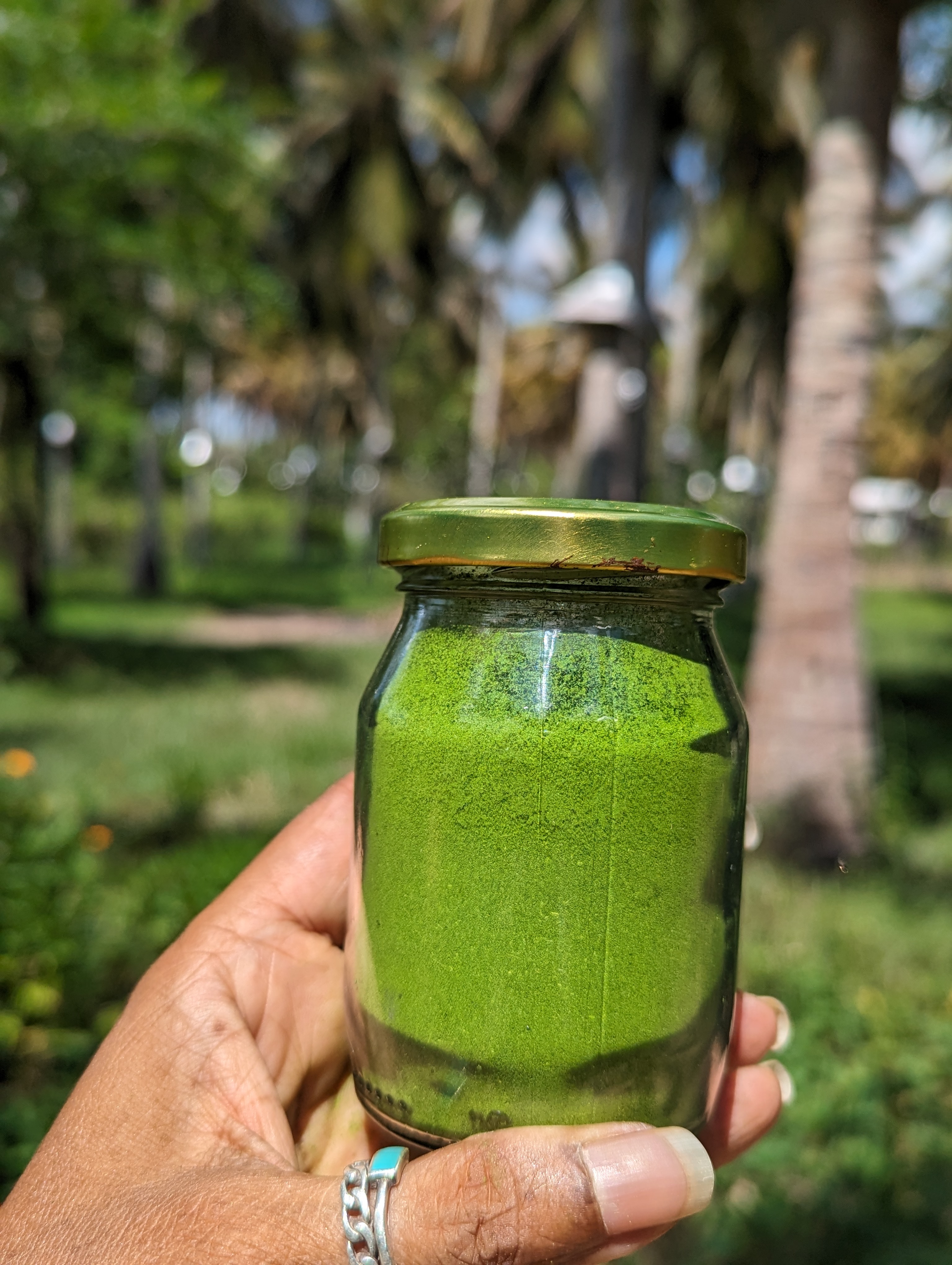 Moringa Powder 50 Grams