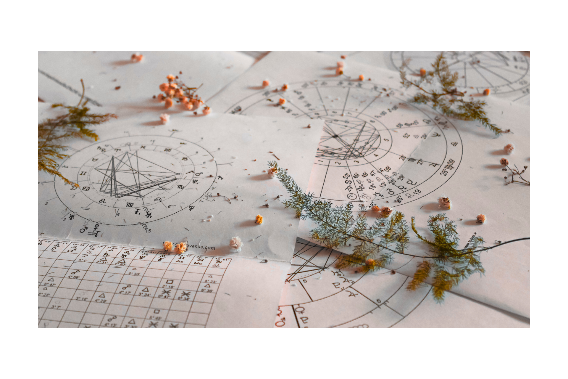 Celestial Snapshot Reading - Mini Astro-Tarot Reading