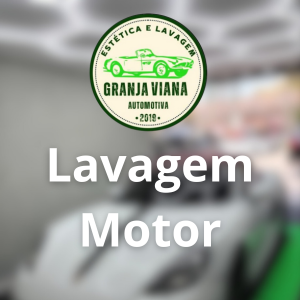 Lavagem de Motor