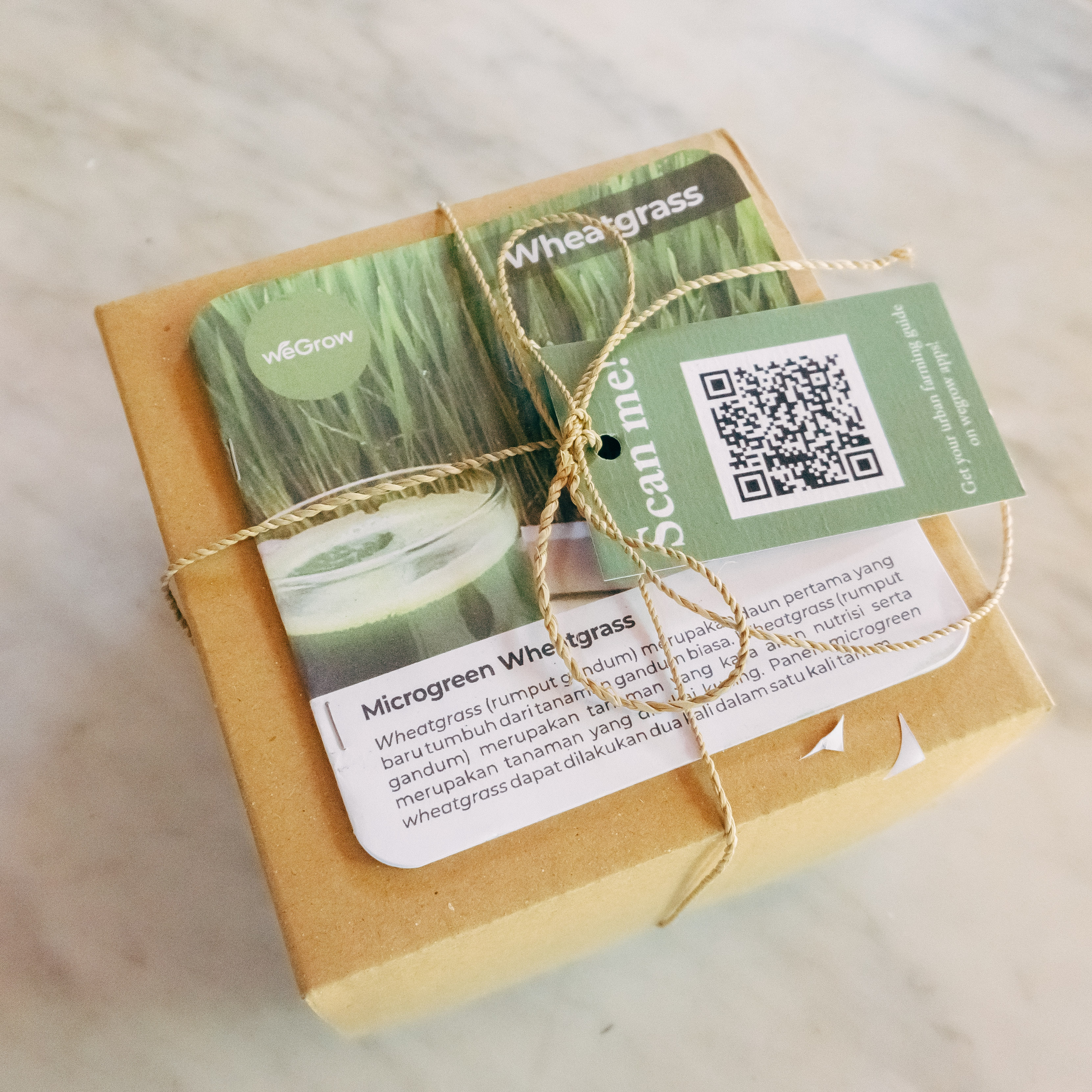 Microgreens Kit Wheatgrass