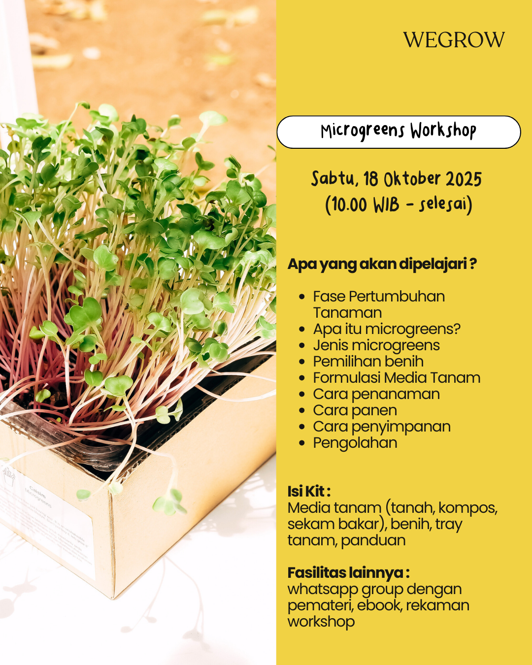 Microgreens Workshop (Tanpa Kit)