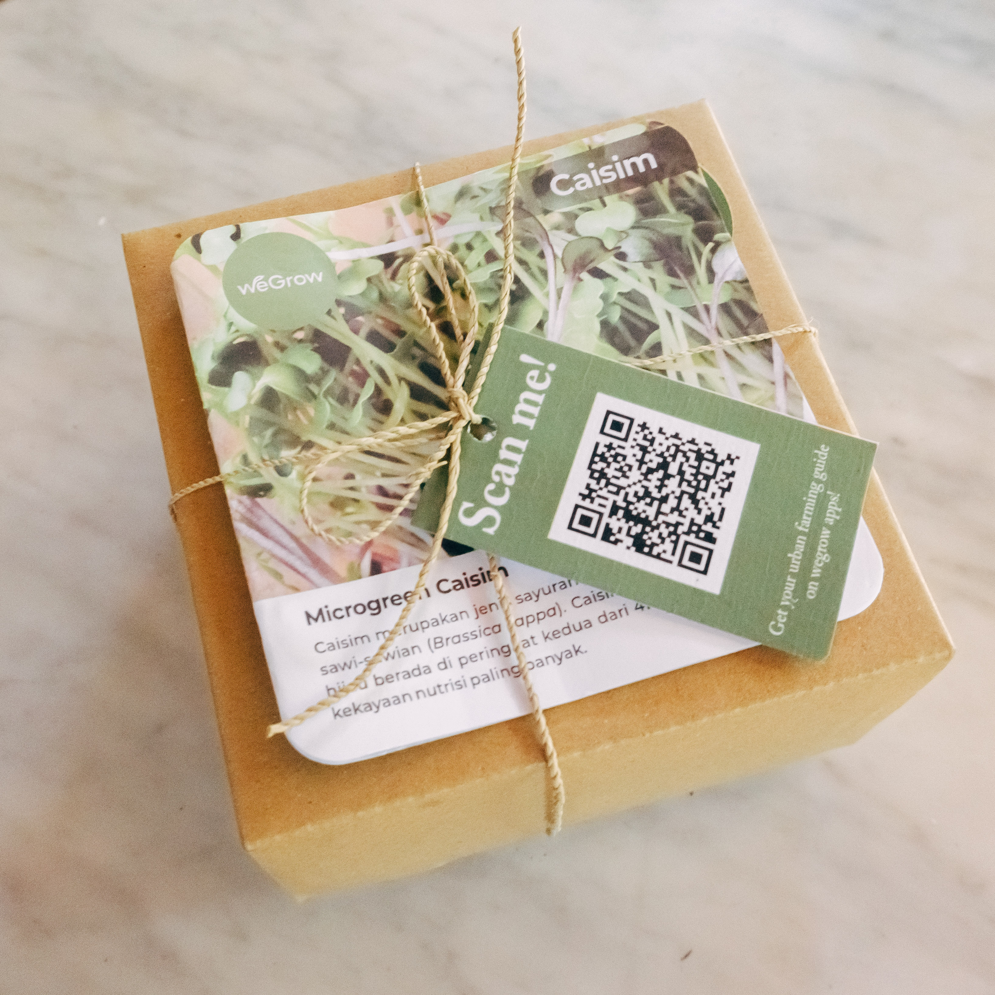 Microgreens Kit Caisim