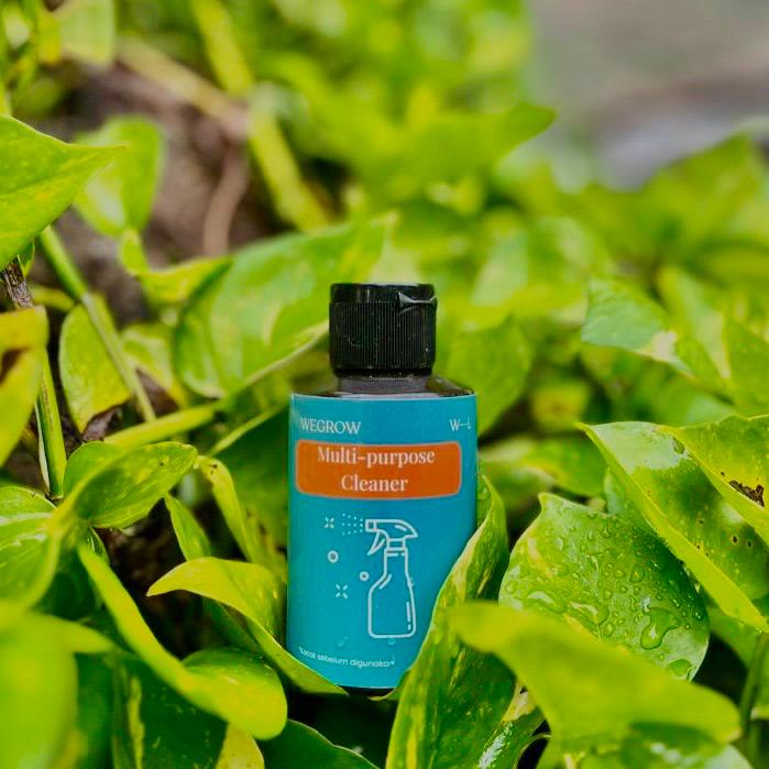Multipurpose Cleaner