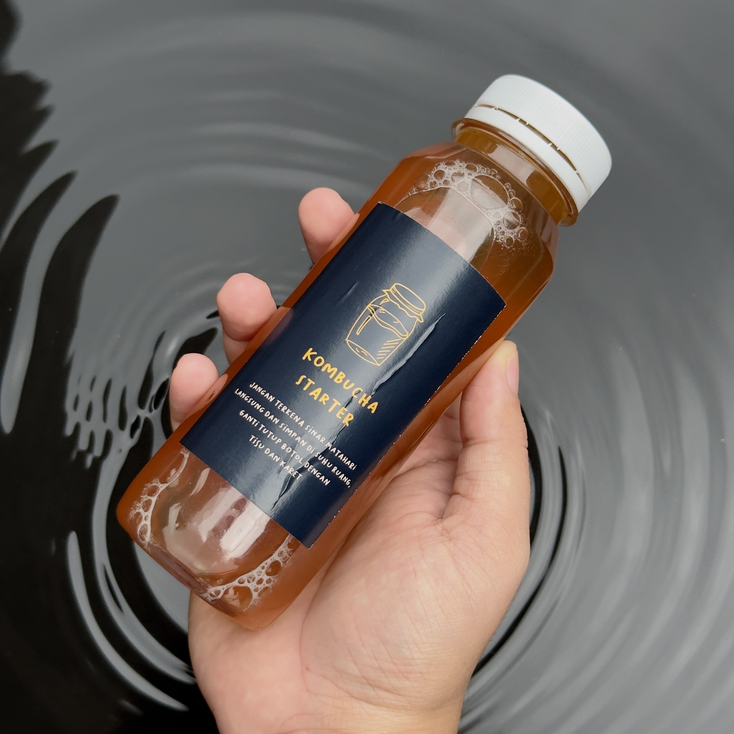 Liquid Starter Kombucha