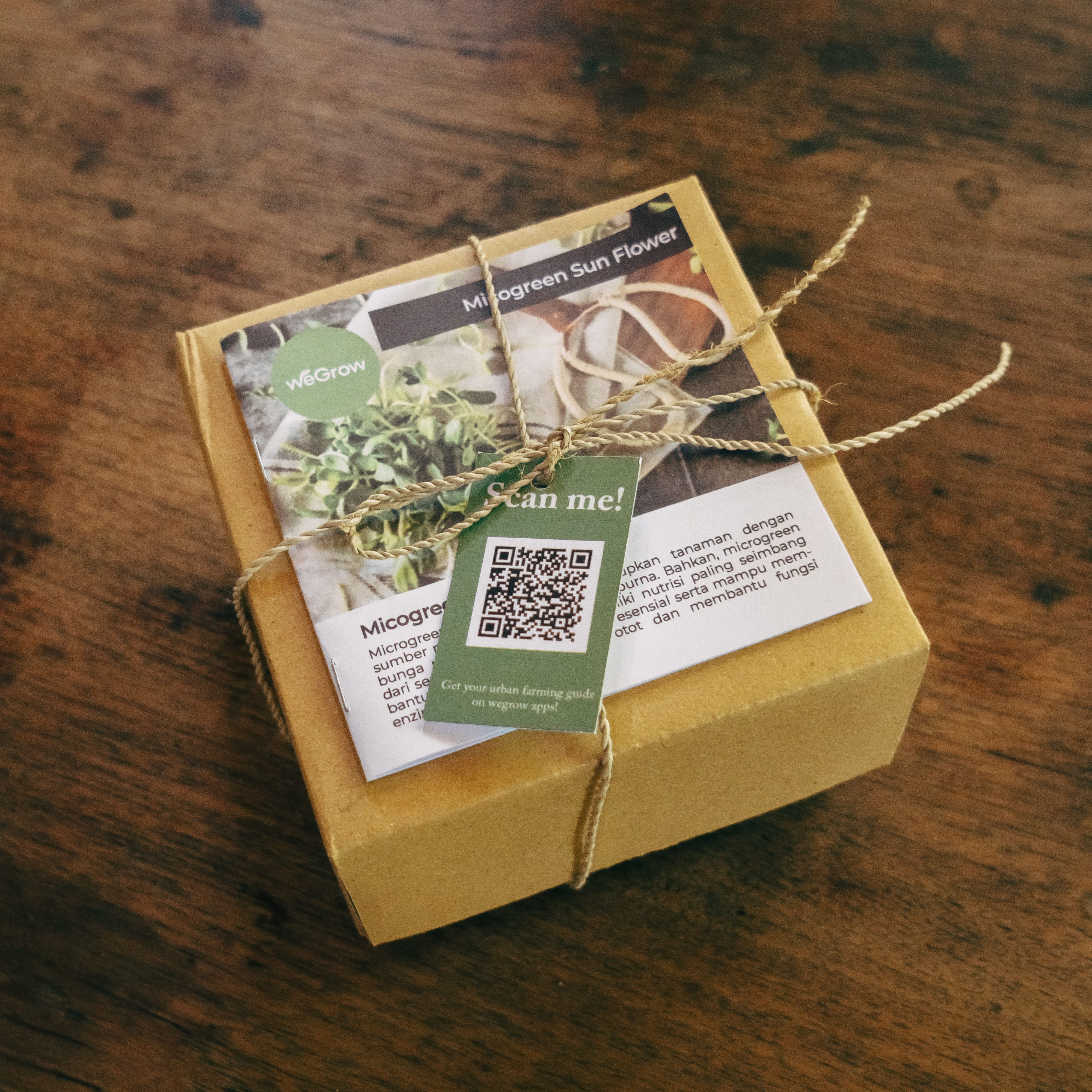 Microgreens Kit Sunflower 