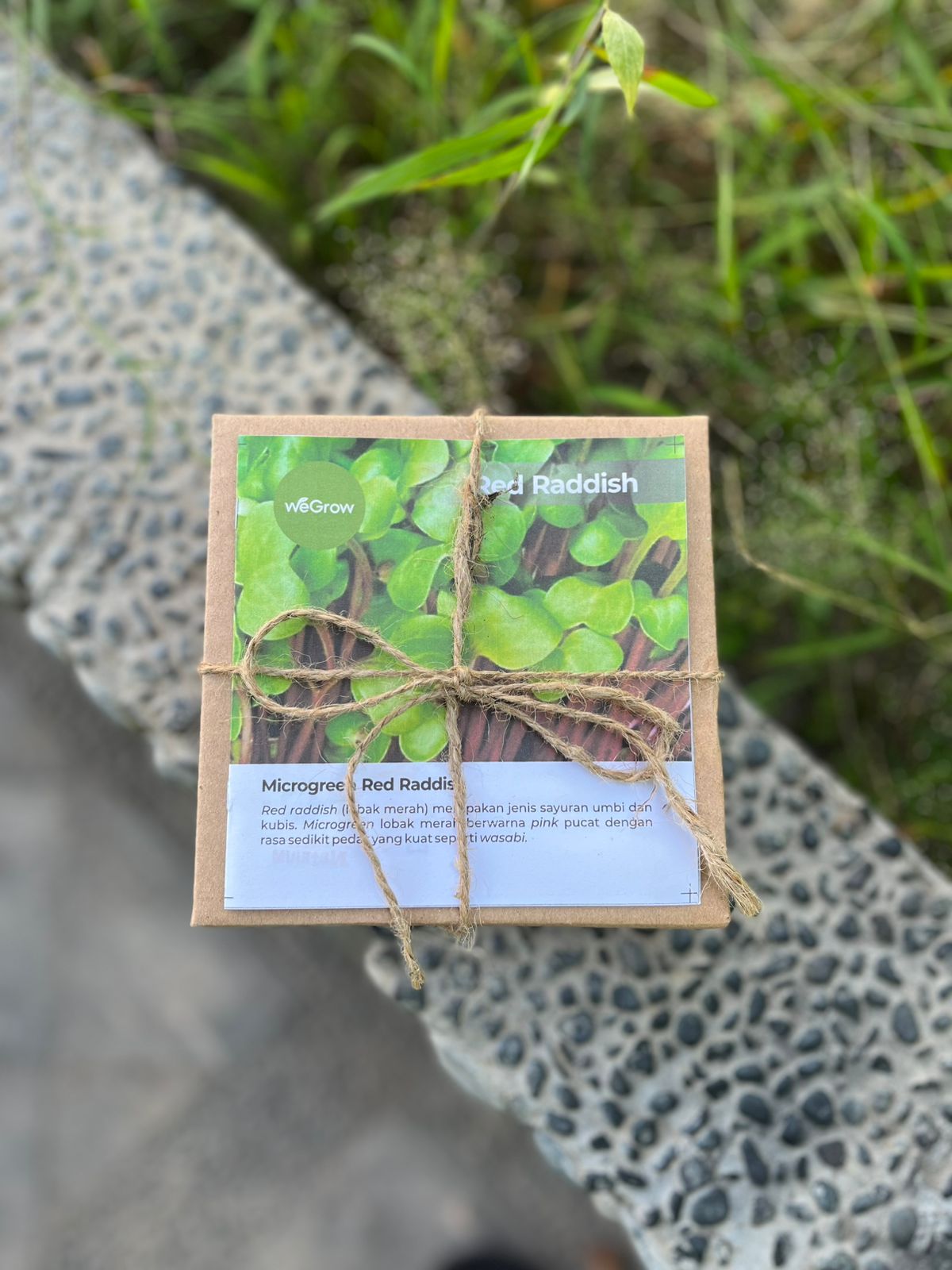 Microgreens Kit Red Radish