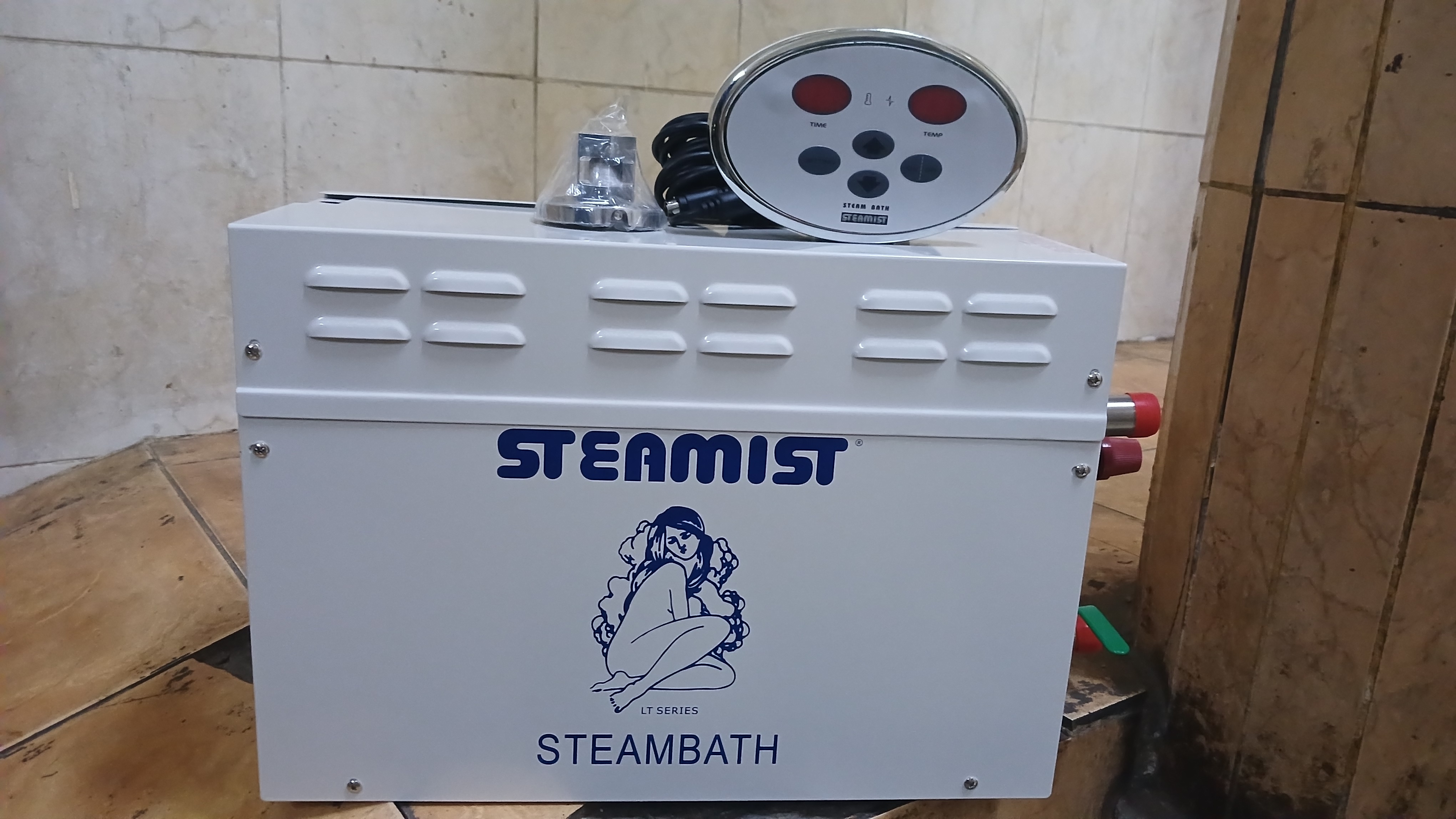 Steamist Steambath Generator