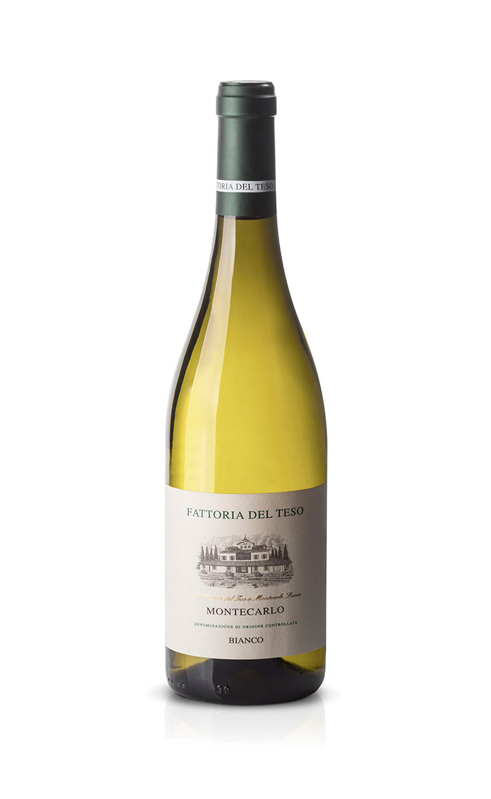 Fattoria del Teso Montecarlo Bianco