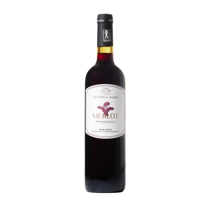 100% Merlot Fattoria Sardi