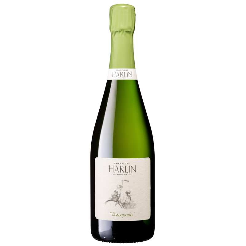 CHAMPAGNE HARLIN