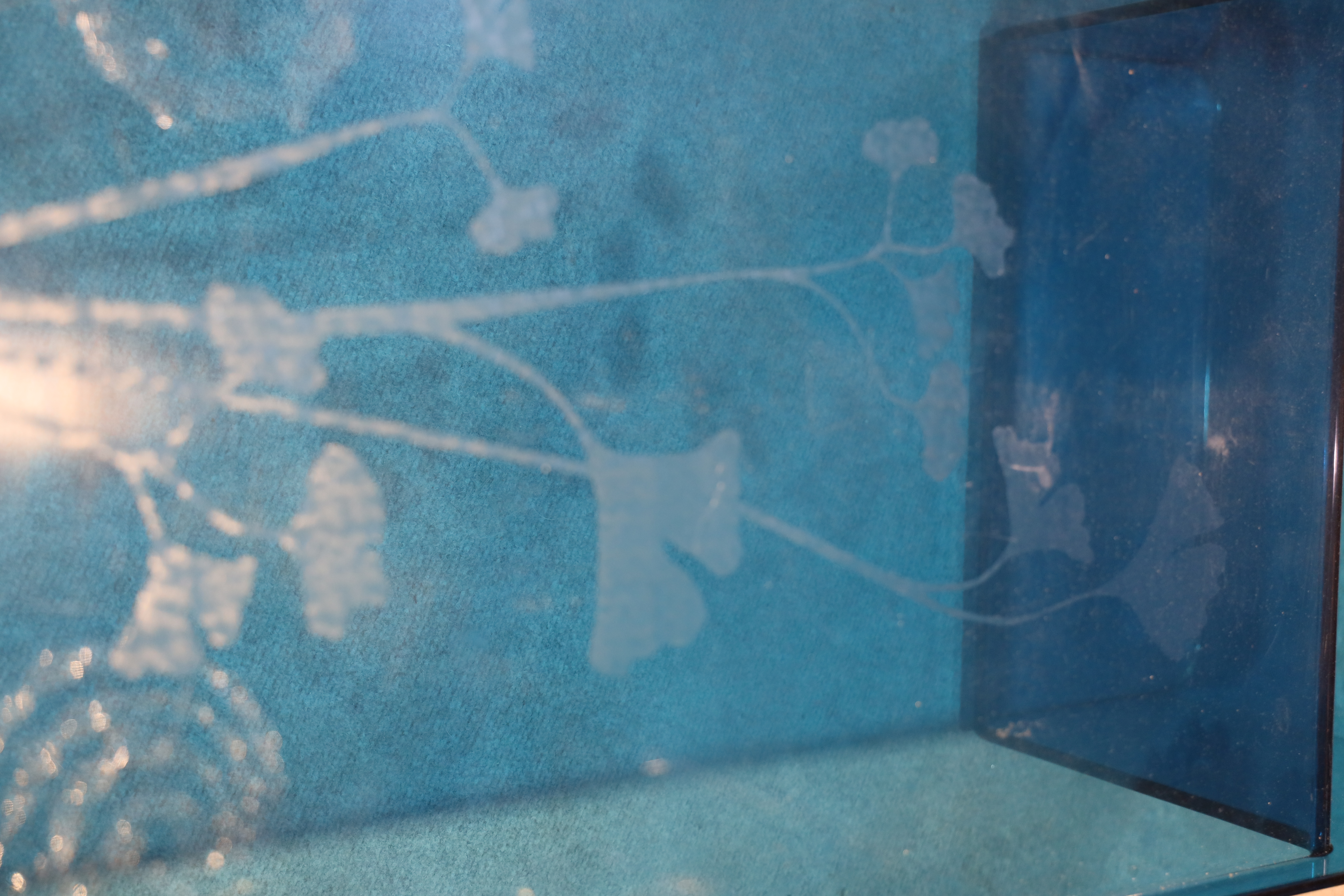 Table basse en plexiglas bleu gravé