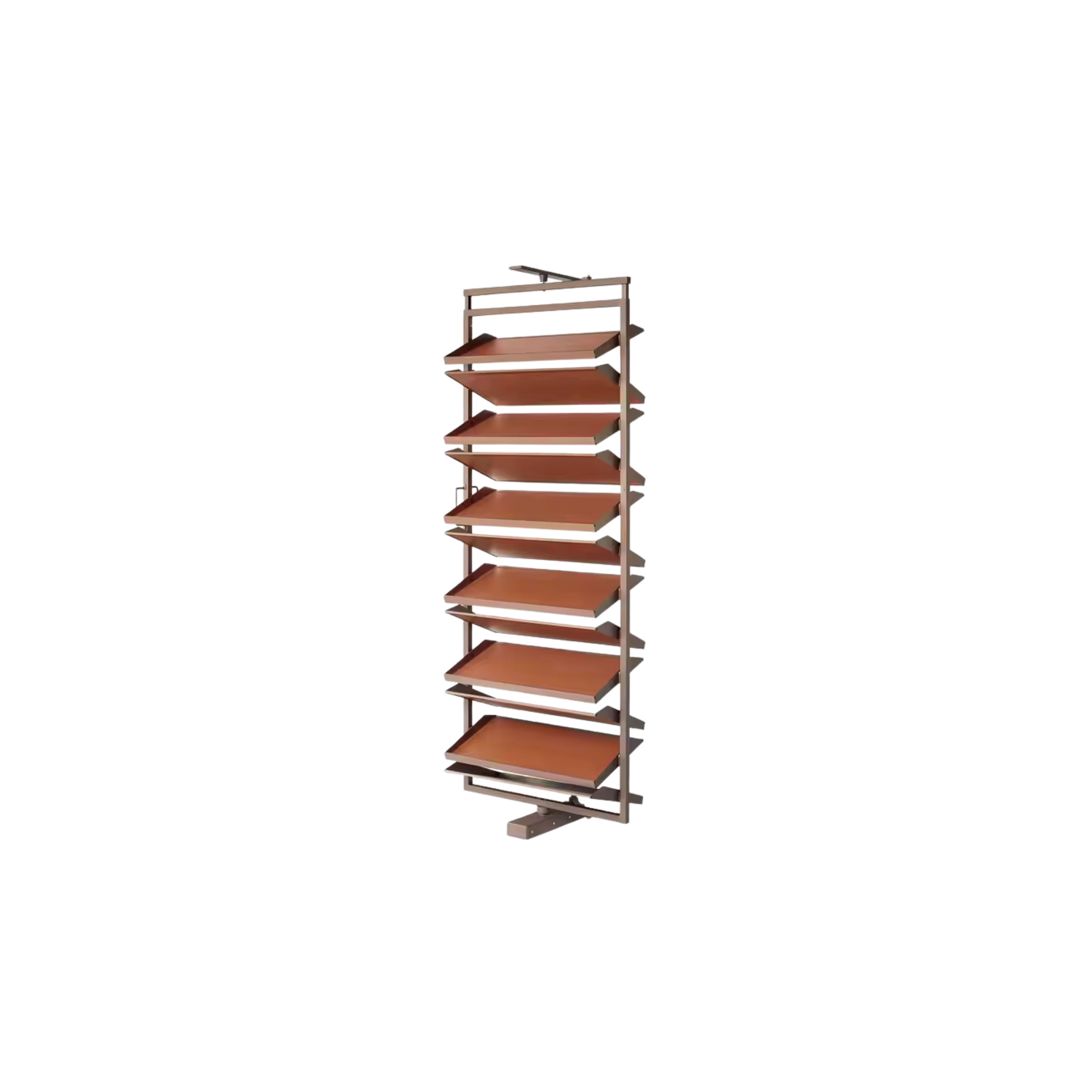 Shoe organizer