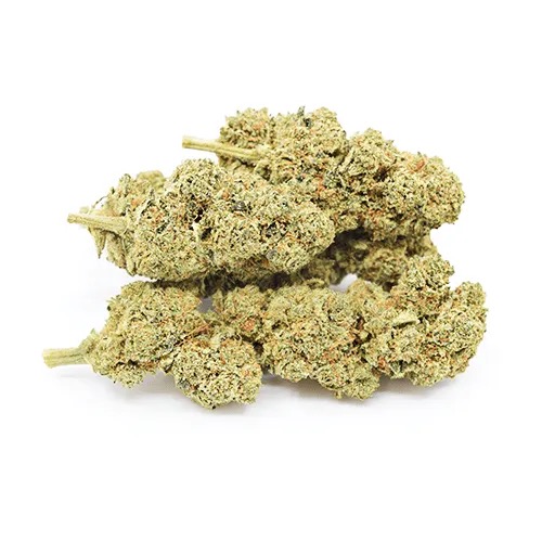 Bundle Pack