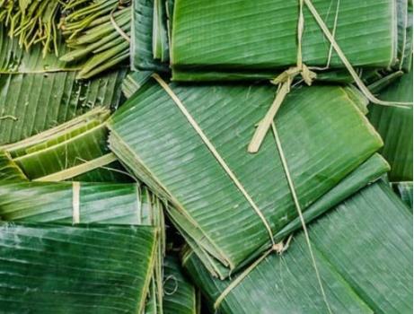 Fresh Banana Leaves