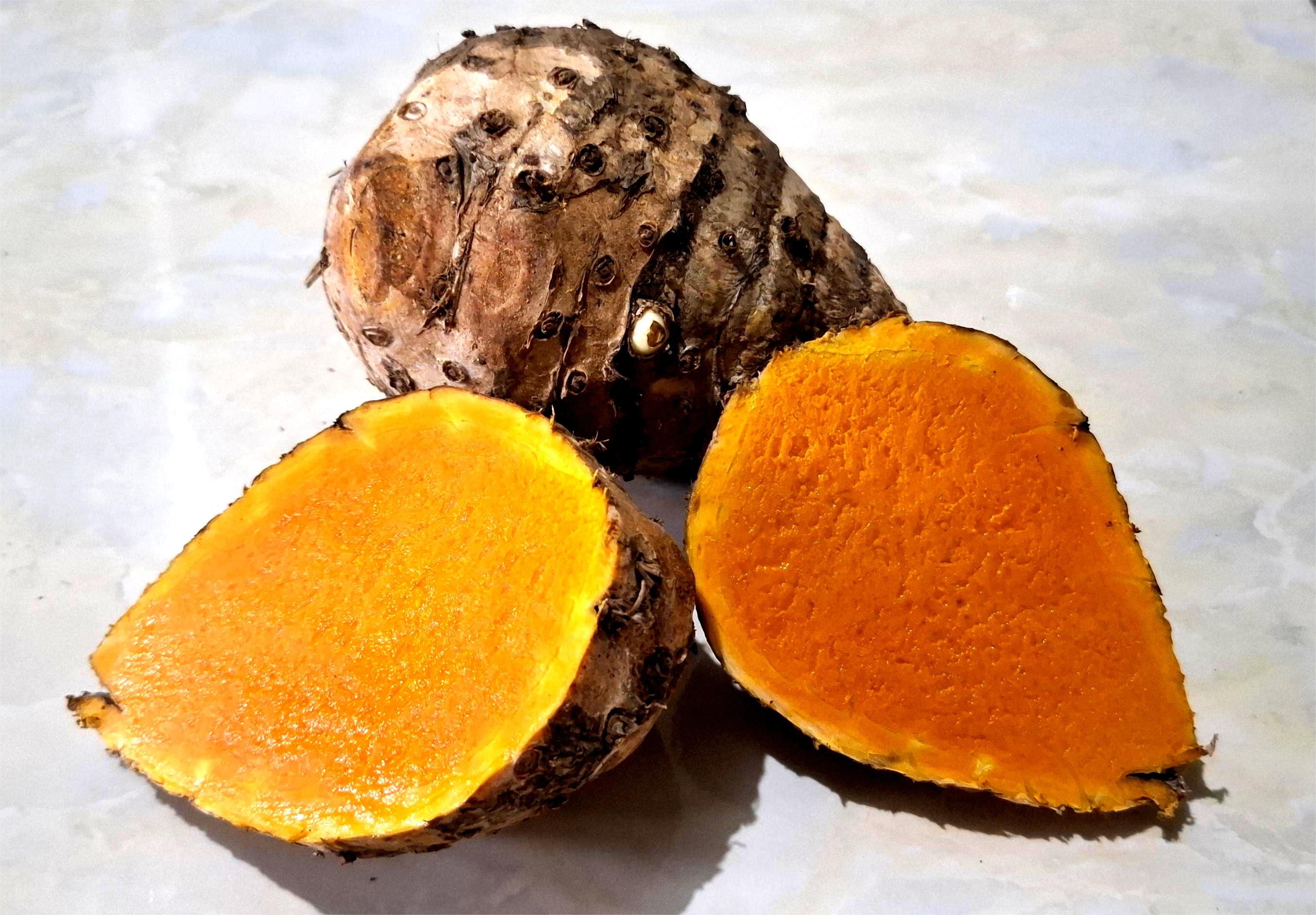 Curcuma Xanthorrhiza Roxb