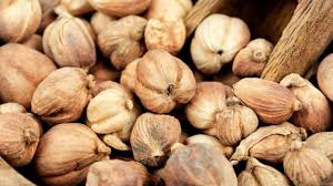Javanese Cardamom 