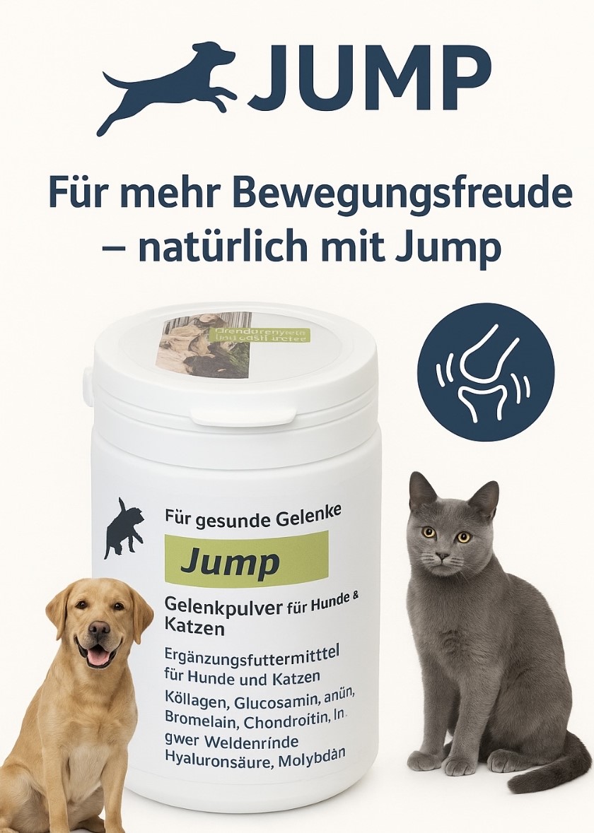 Jump Gelenkpulver