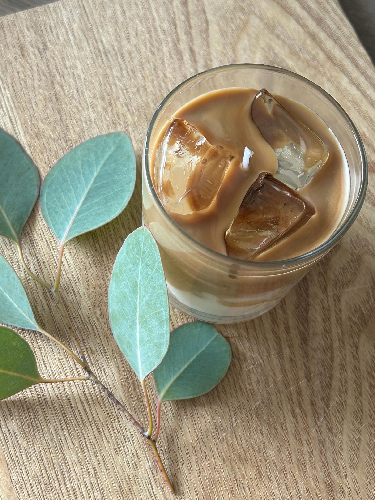 Scented Chocolate Candle |  Cocoa Indulgence