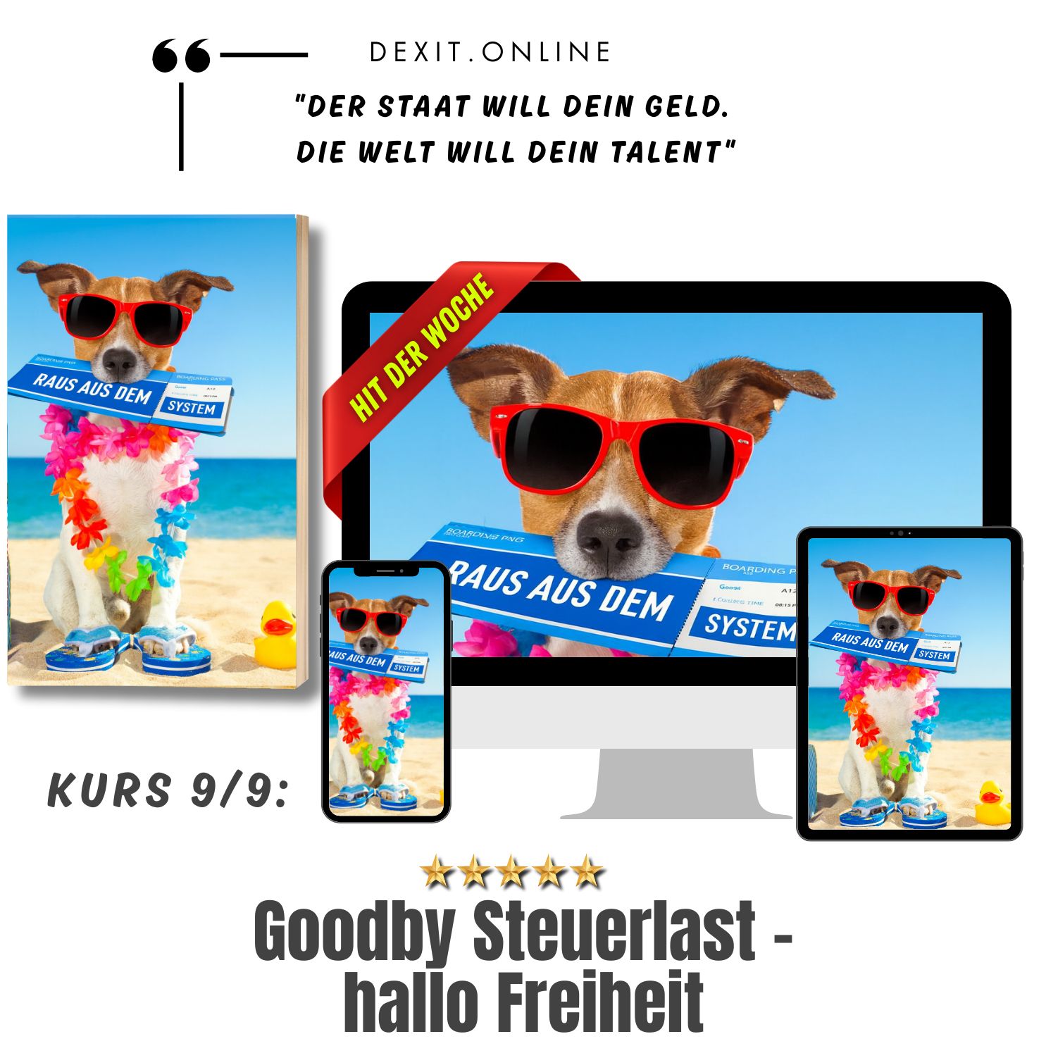 dexit.online Kurs 9: 11 Länder ohne Agenda 2030 – strukturiert, skalierbar, unangreifbar ⭐️⭐️⭐️⭐️⭐️