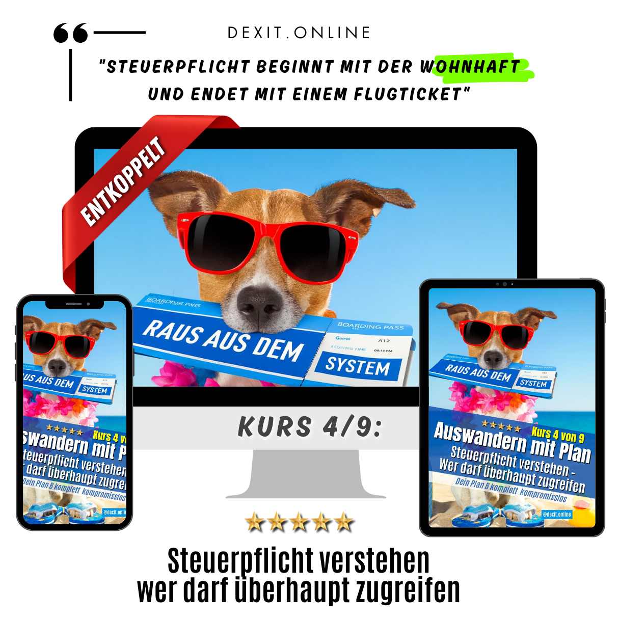 dexit.online Kurs 4: Steuerpflicht verstehen – Wer darf überhaupt zugreifen ⭐️⭐️⭐️⭐️⭐️