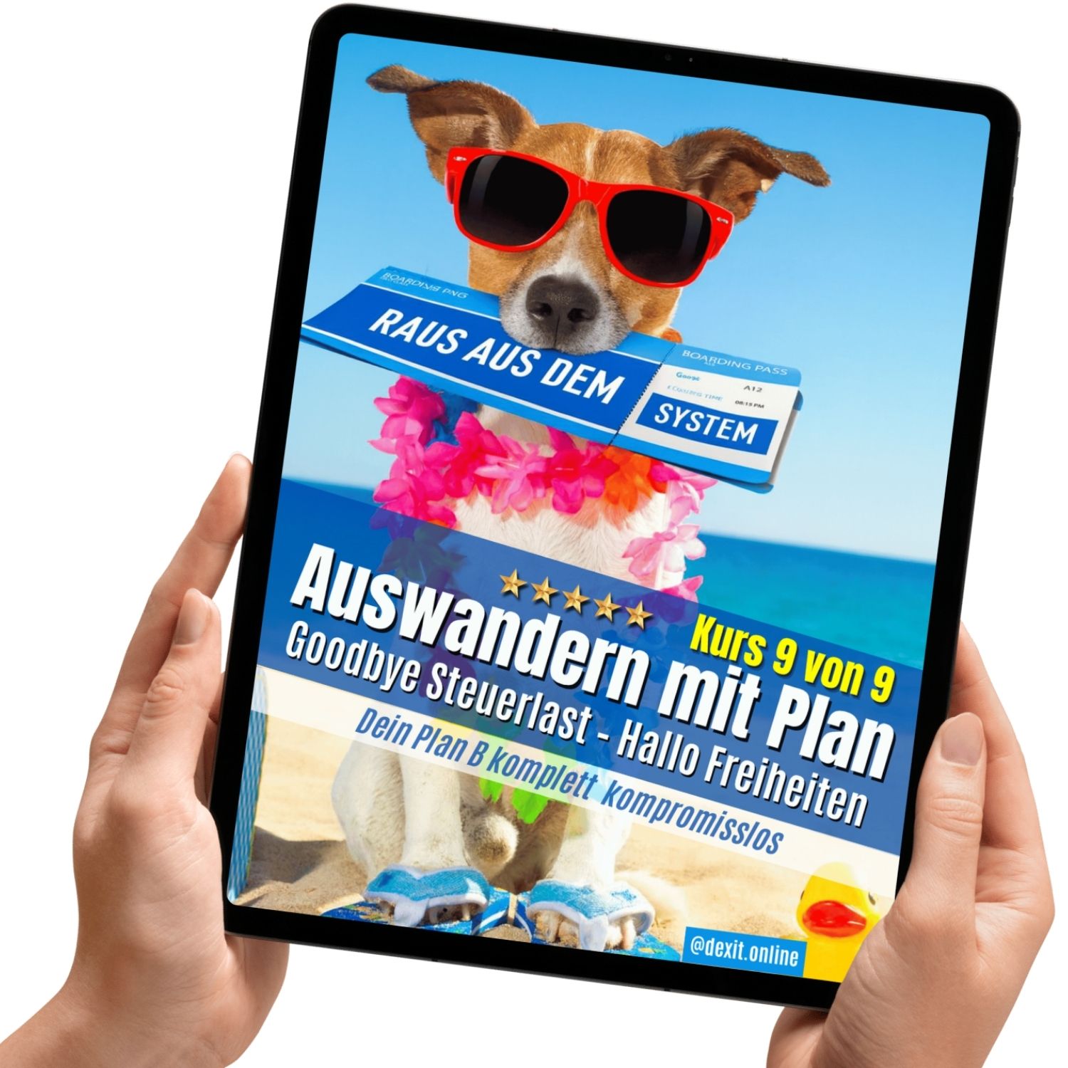 dexit.online Kurs 9: 11 Länder ohne Agenda 2030 – strukturiert, skalierbar, unangreifbar ⭐️⭐️⭐️⭐️⭐️