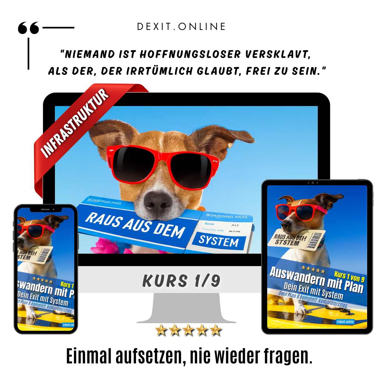 dexit.online Kurs 1 – Richtig Auswandern - Dein Exit mit System ⭐️⭐️⭐️⭐️⭐️