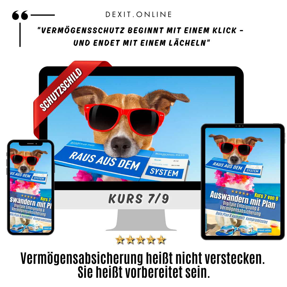 dexit.online Kurs 7: Digitale Enteignung & Vermögensabsicherung ⭐️⭐️⭐️⭐️⭐️