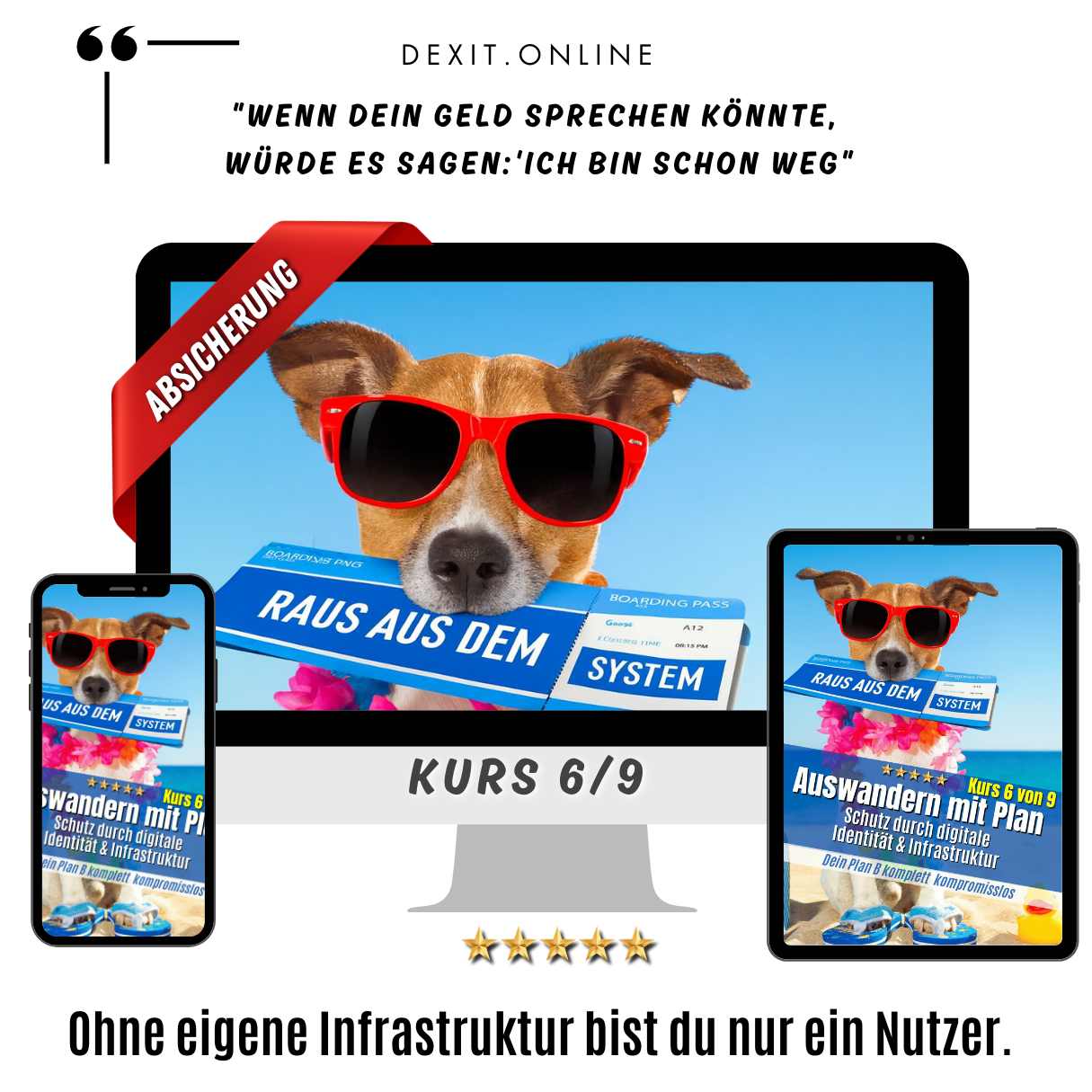 dexit.online Kurs 6: Schutz durch digitale Identität & Infrastruktur ⭐️⭐️⭐️⭐️⭐️