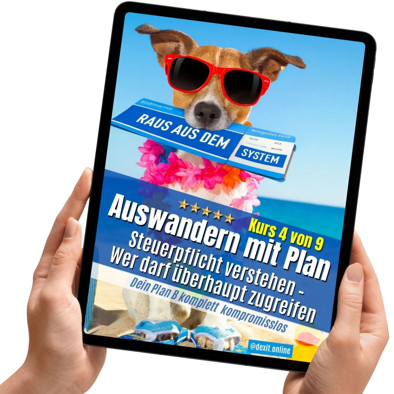 dexit.online Kurs 4: Steuerpflicht verstehen – Wer darf überhaupt zugreifen ⭐️⭐️⭐️⭐️⭐️