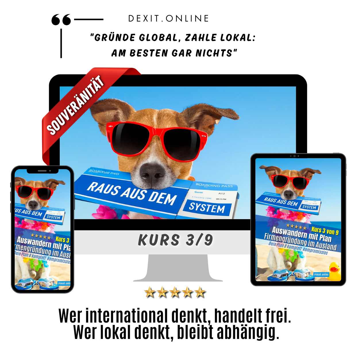 dexit.online  Kurs 3: Auswandern & Firmengründung im Ausland ⭐️⭐️⭐️⭐️⭐️