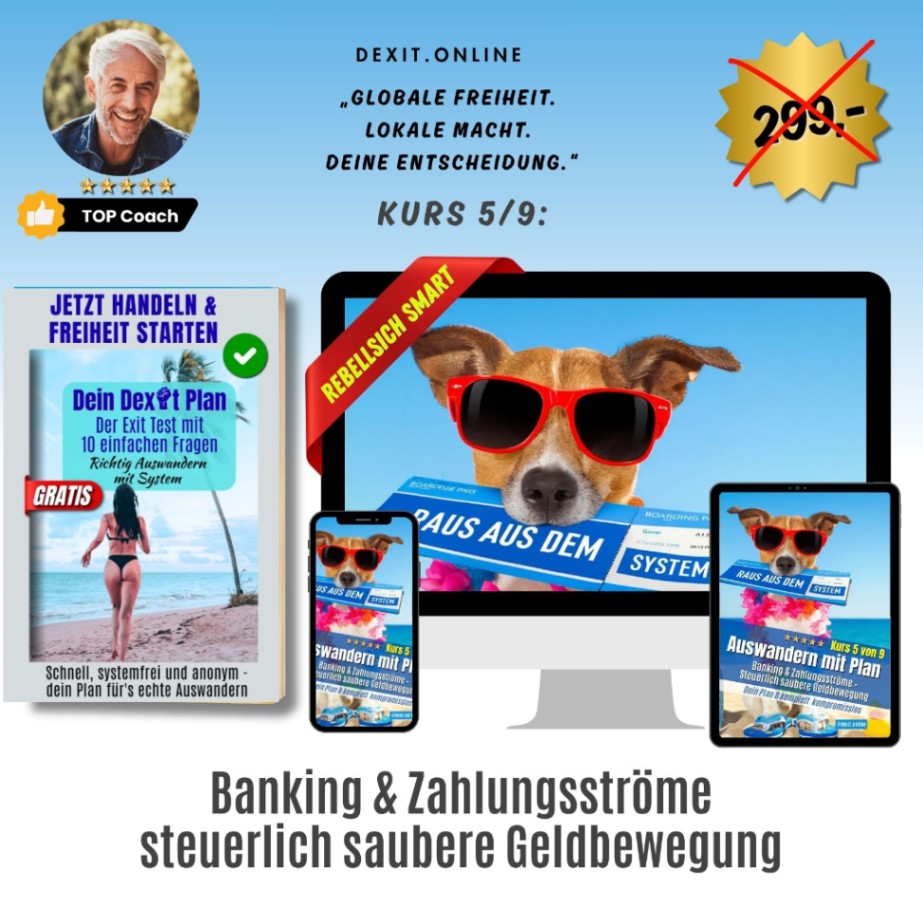 dexit.online Kurs 5: Banking & Zahlungsströme – Wie du dein Geld steuerrechtlich sauber bewegst ⭐️⭐️⭐️⭐️⭐️
