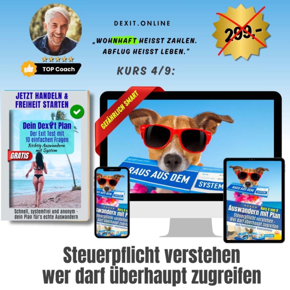 dexit.online Kurs 4: Steuerpflicht verstehen – Wer darf überhaupt zugreifen ⭐️⭐️⭐️⭐️⭐️