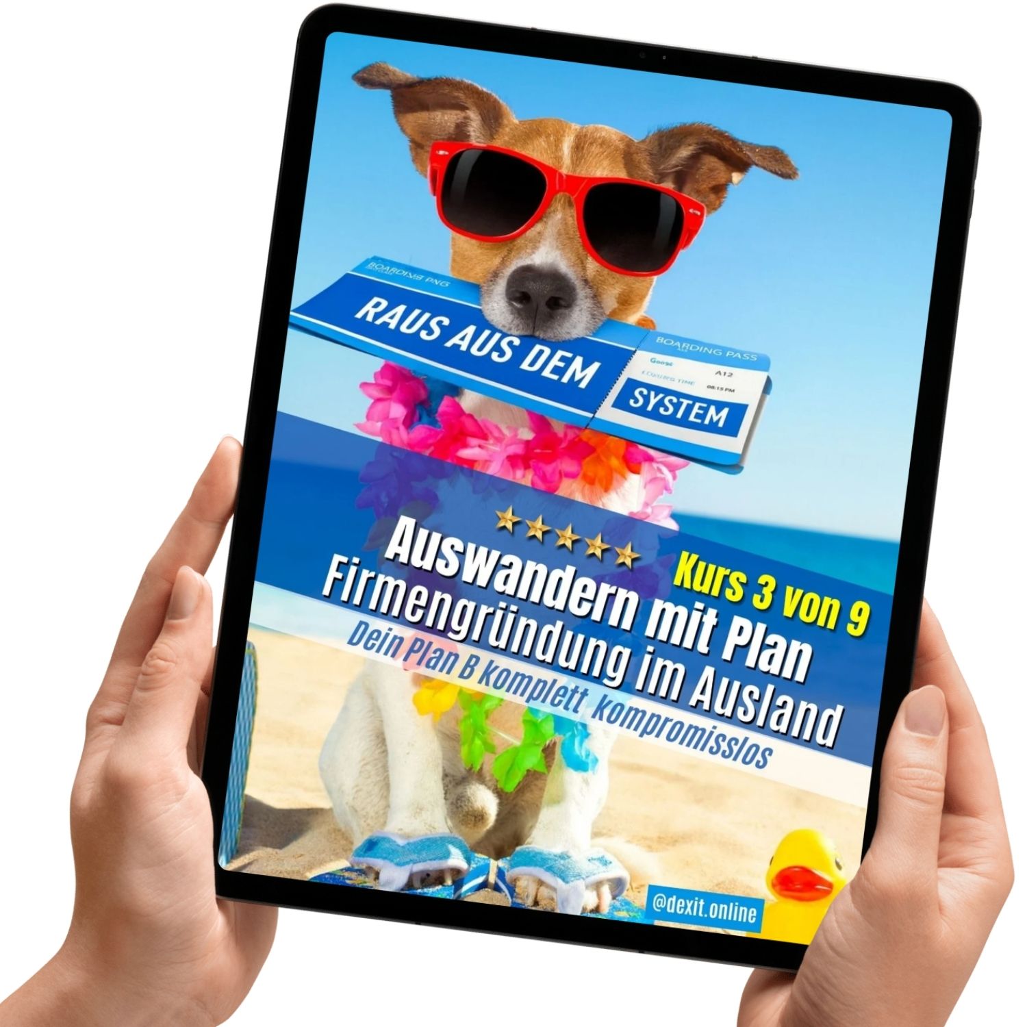 dexit.online  Kurs 3: Auswandern & Firmengründung im Ausland ⭐️⭐️⭐️⭐️⭐️