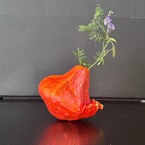 'Den nye pige i klassen'