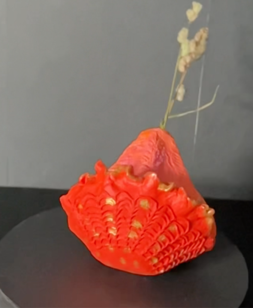 'Den nye pige i klassen'