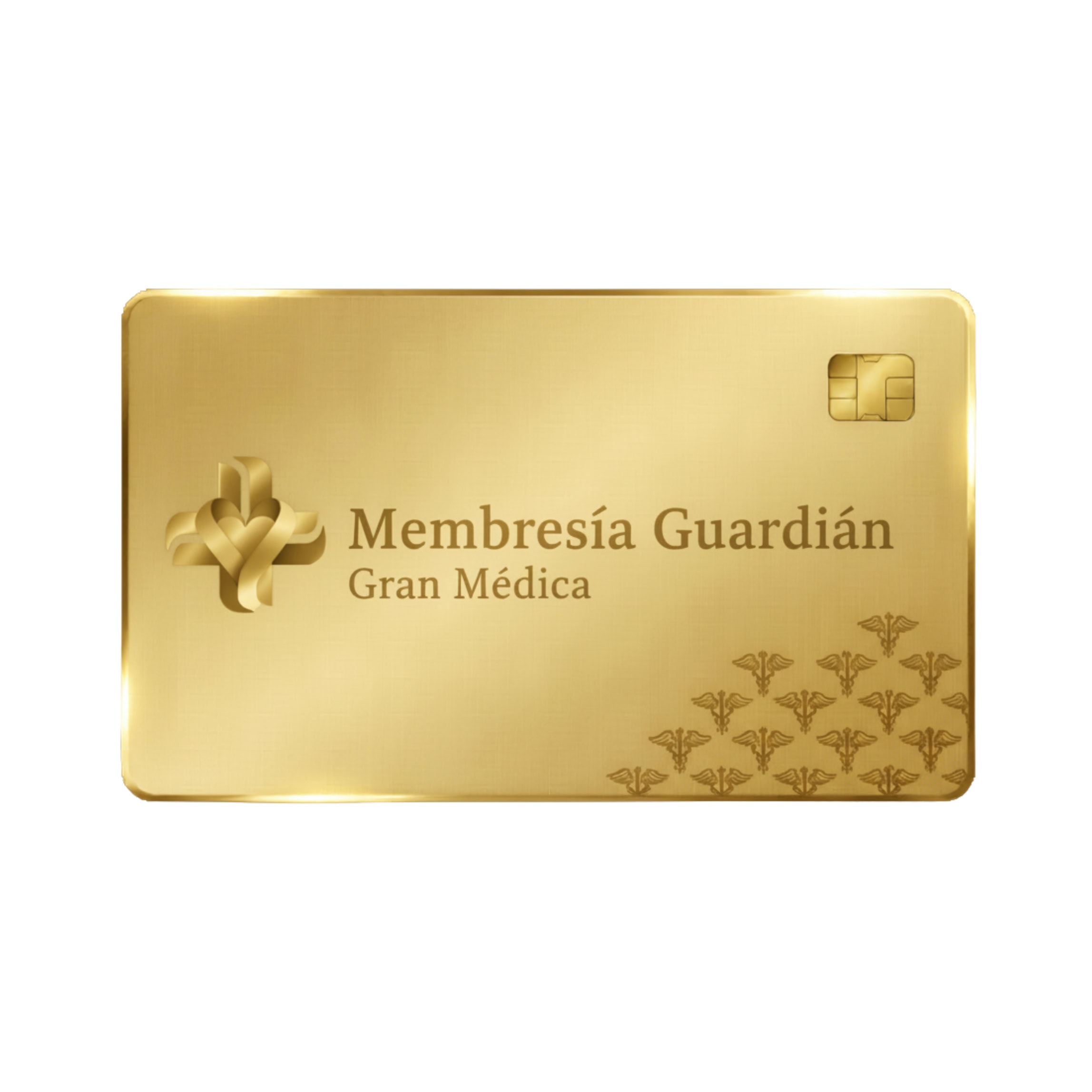Membresía Guardián - 1 Año de Protección Total