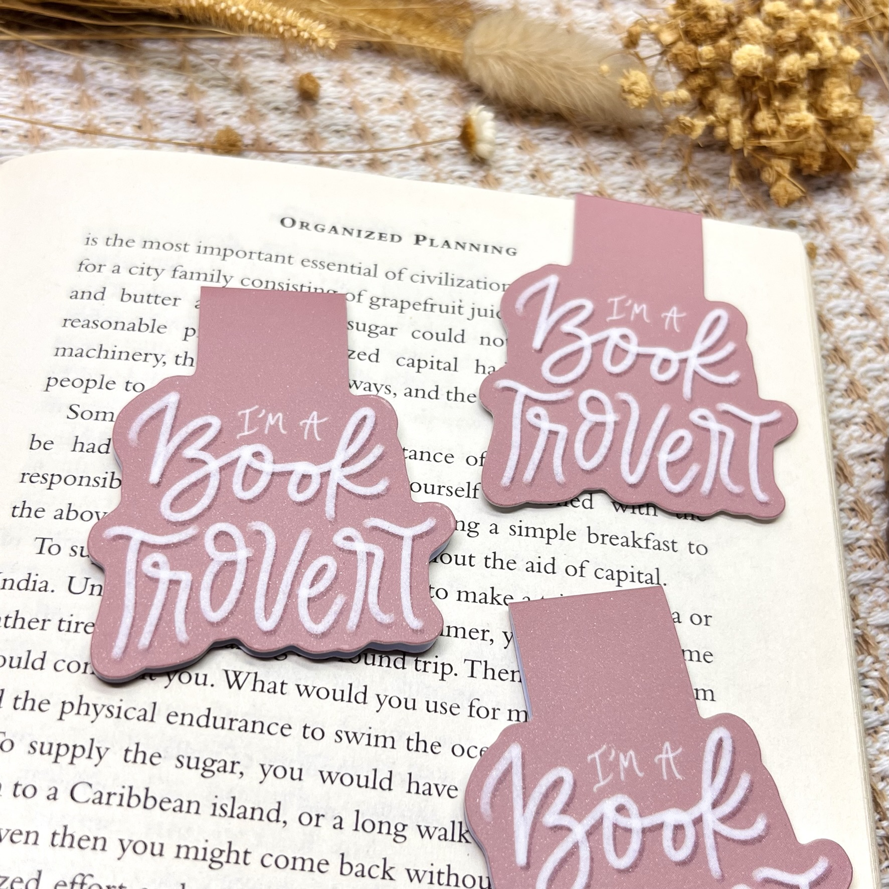 Booktrovert Collection | Solo Magnetic Bookmarks