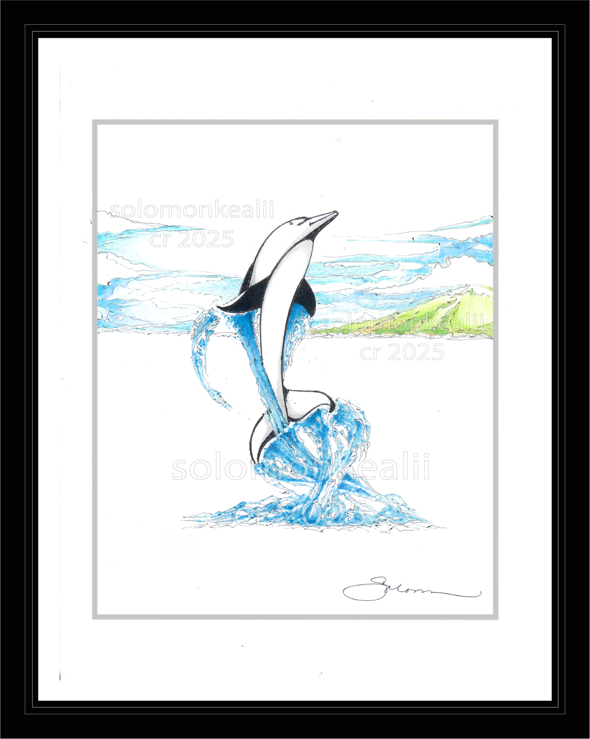 'AERIAL HAWAIIAN DOLPHIN'