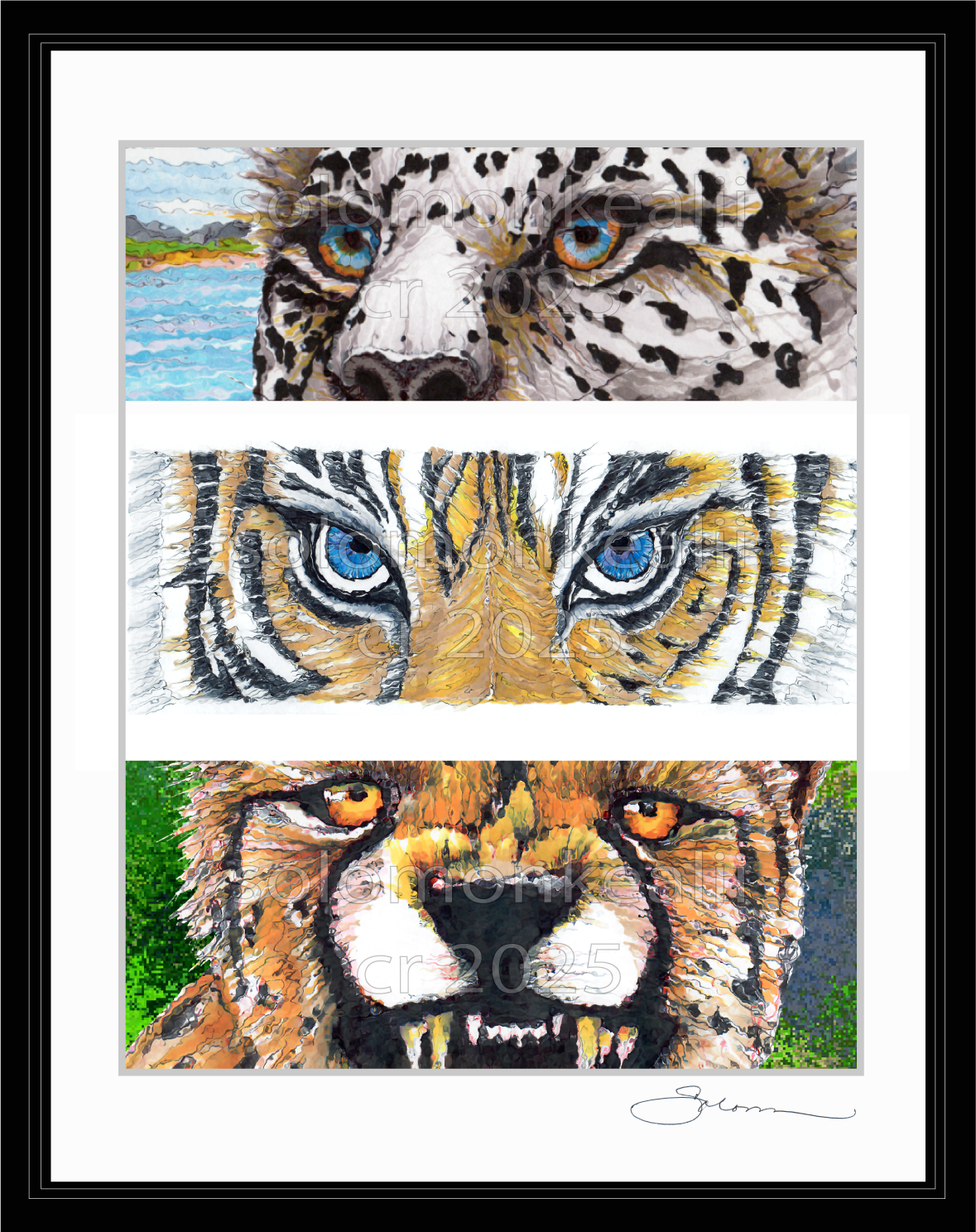 'MY THREE CATS'