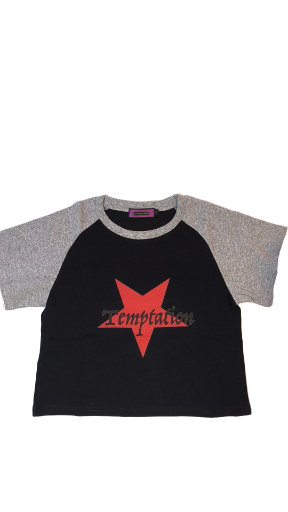 Unisex Temptation Crop Top.
