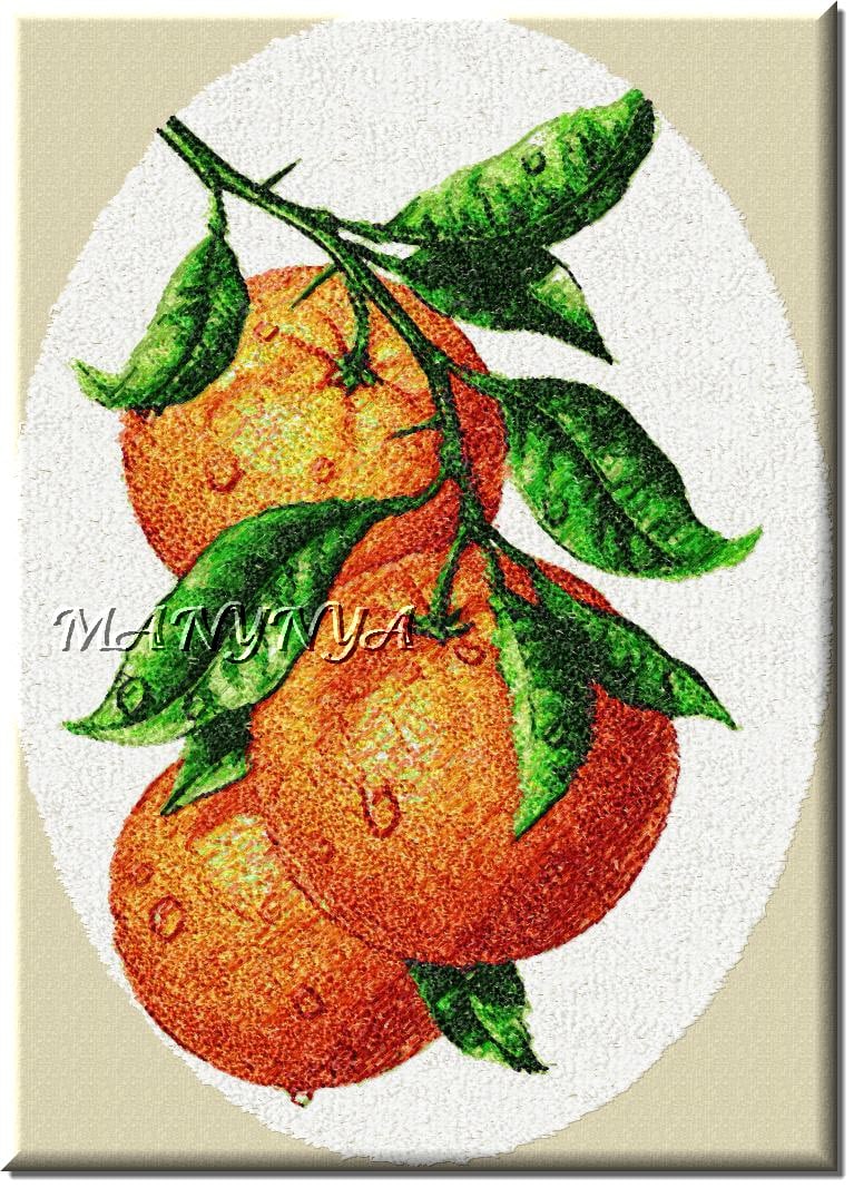 Broderie numérique Motif fruit Orange Format JEF,VP3
