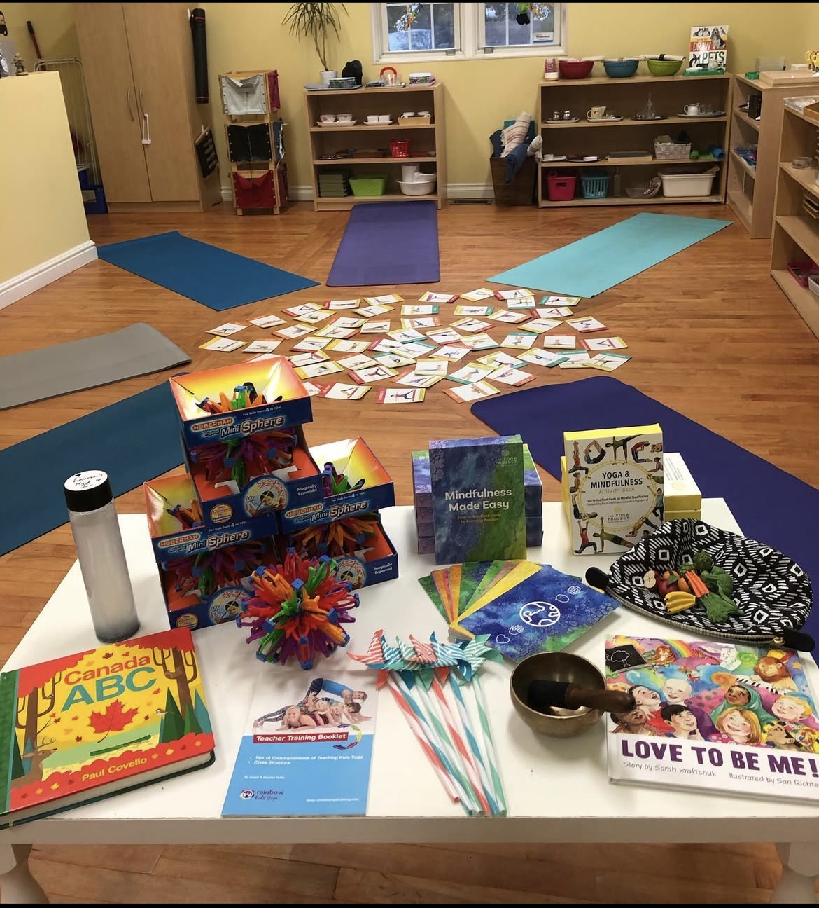 Teacher PD Seminar- MM