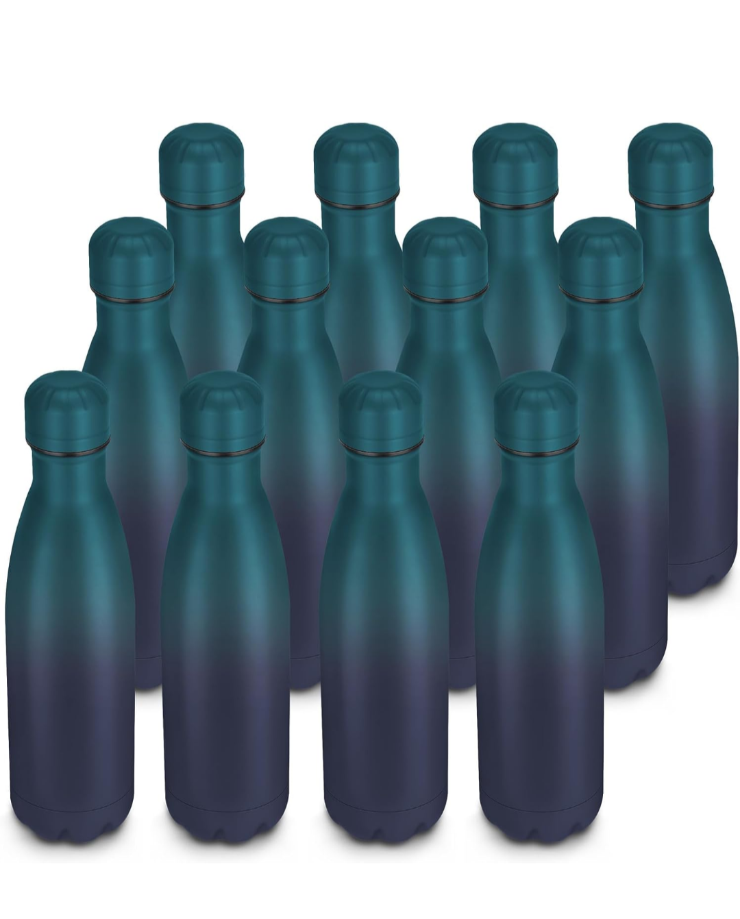 Marine Life Themed Insulated Water Bottle 17oz