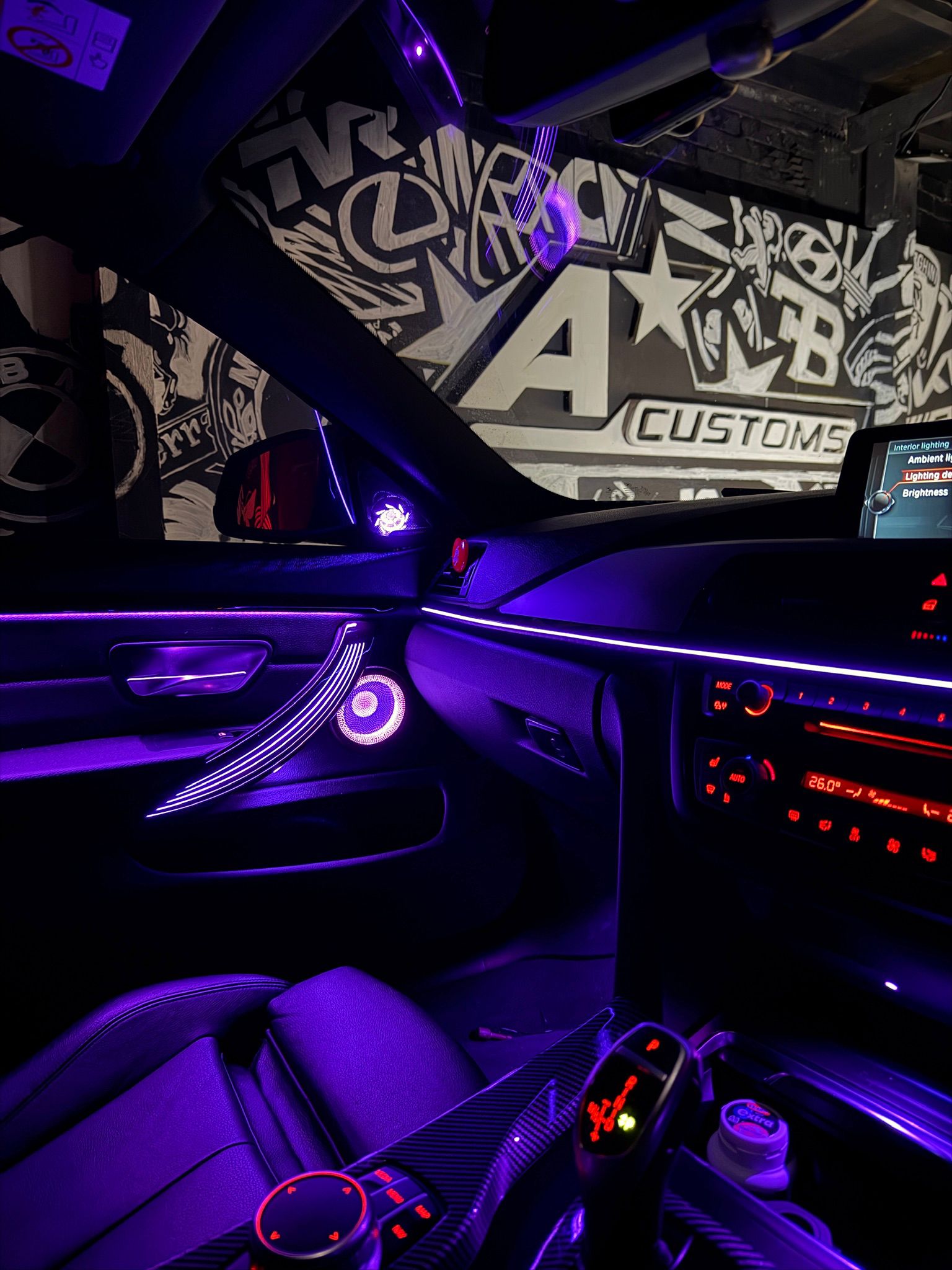  BMW F-Series OEM Ambient Package